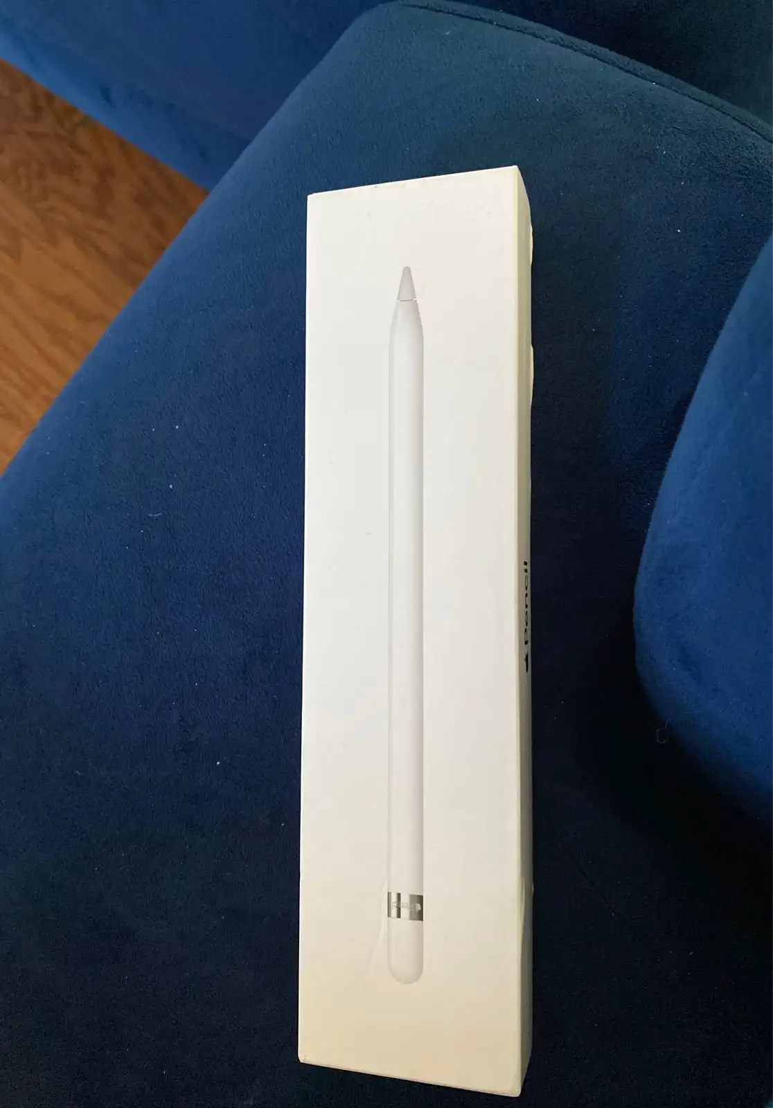 Apple Pencil 1st Gen precision drawing performance