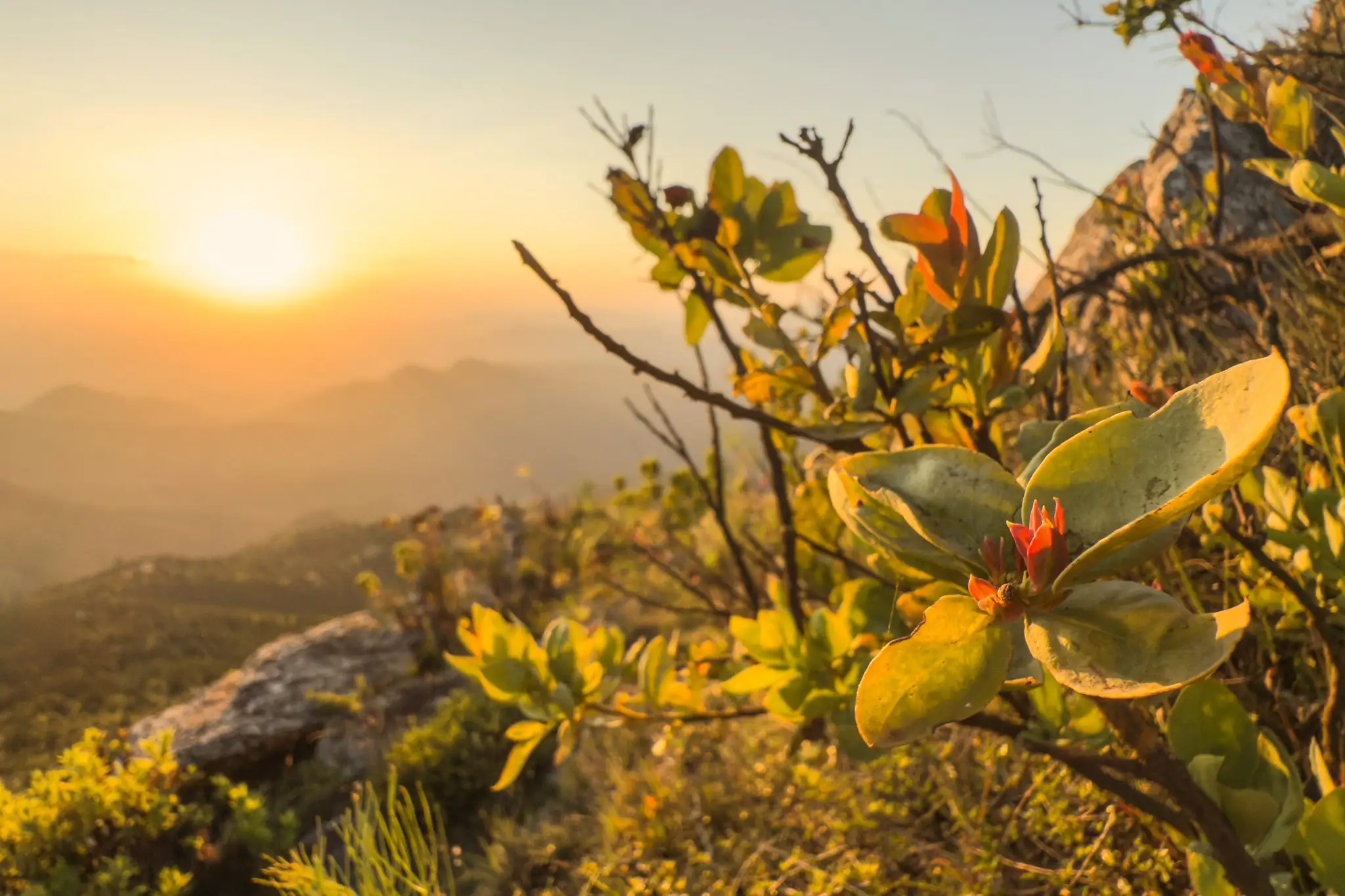 iPhone 16 Pro Camera Control button close-up