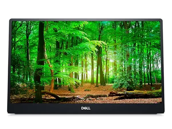 Dell P1424H Portable Monitor Review: Conditional Buy Verdict
