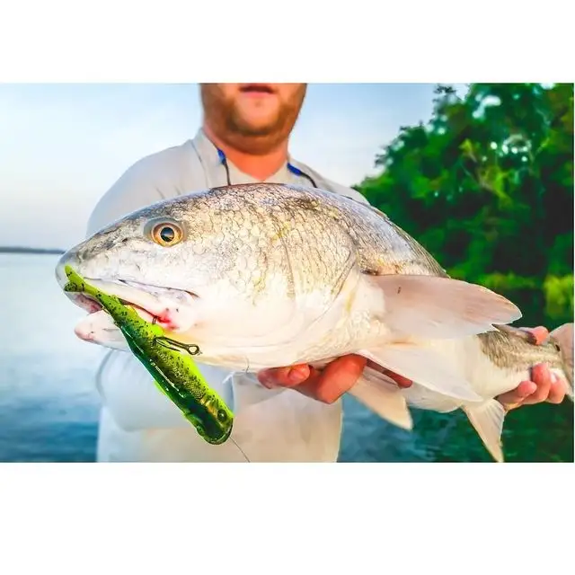 ASURION Floorcare Protection Plan Review: Worth It? 8/10