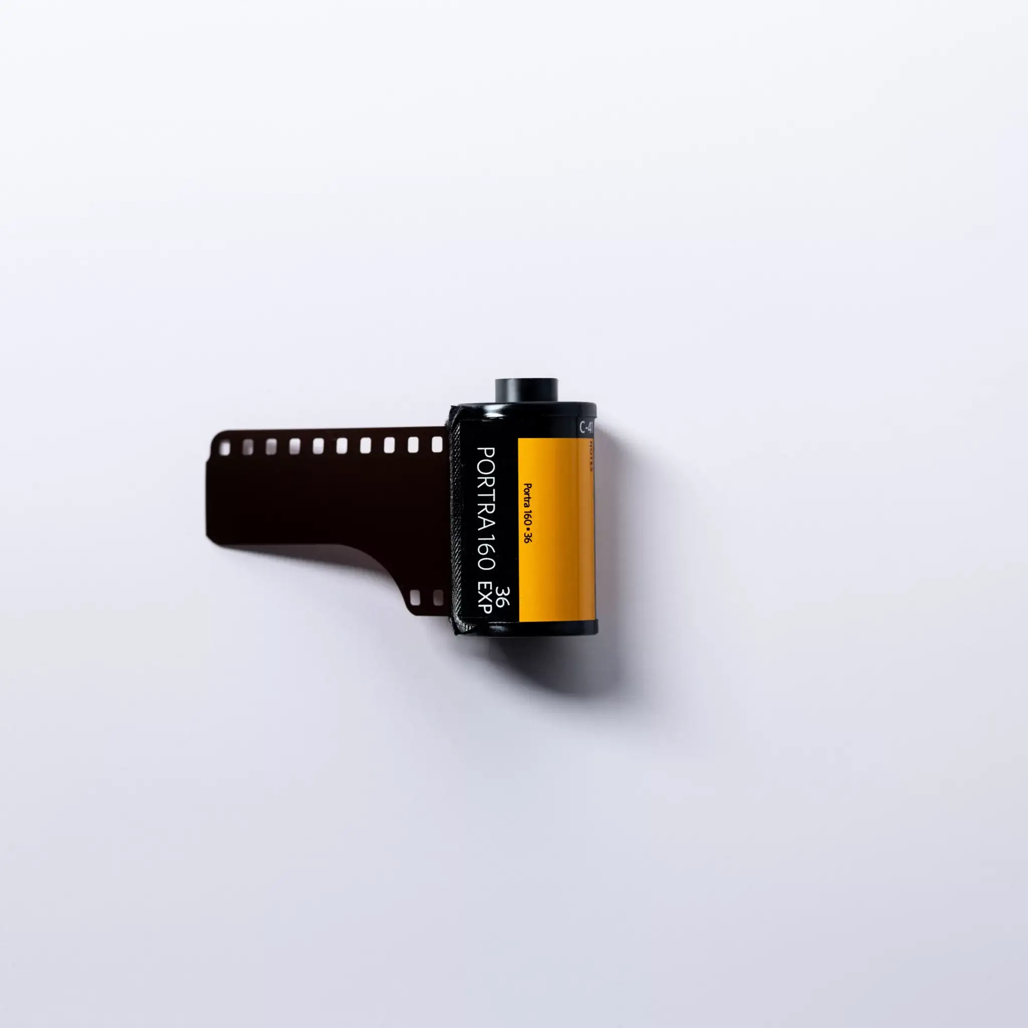 KODAK Portra 160 Film Review: Fine Grain, Warm Tone Verdict