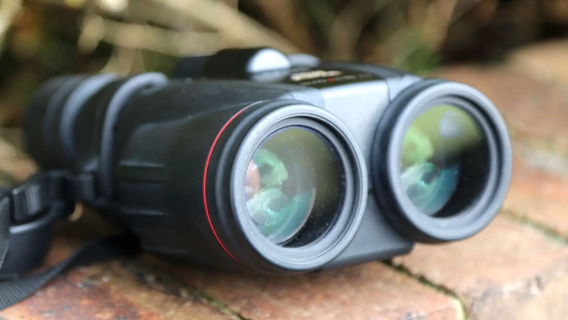 Canon 10x42 L IS WP binoculars accessories kit