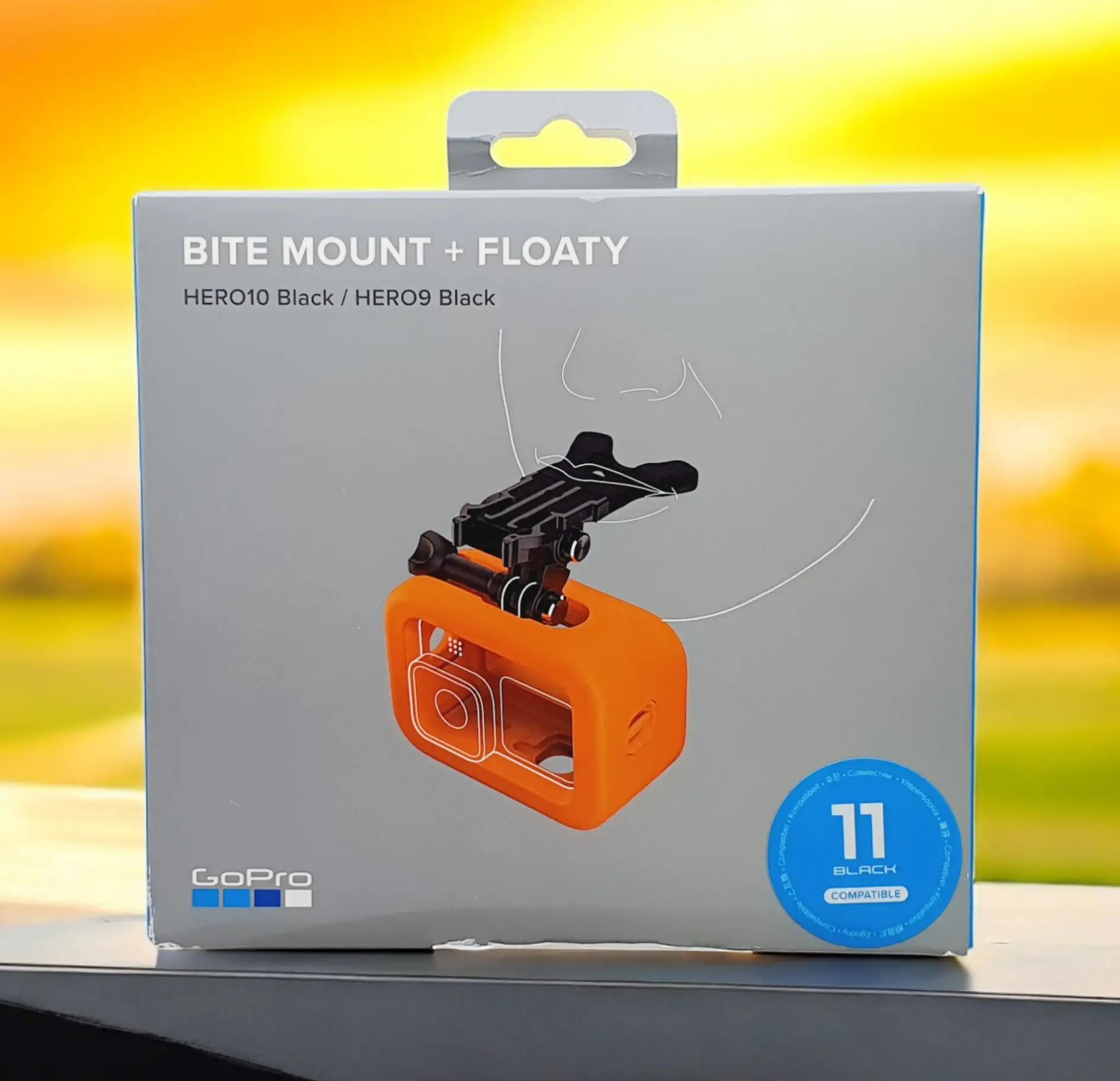 GoPro Bite Mount + Floaty Review: Conditional Verdict