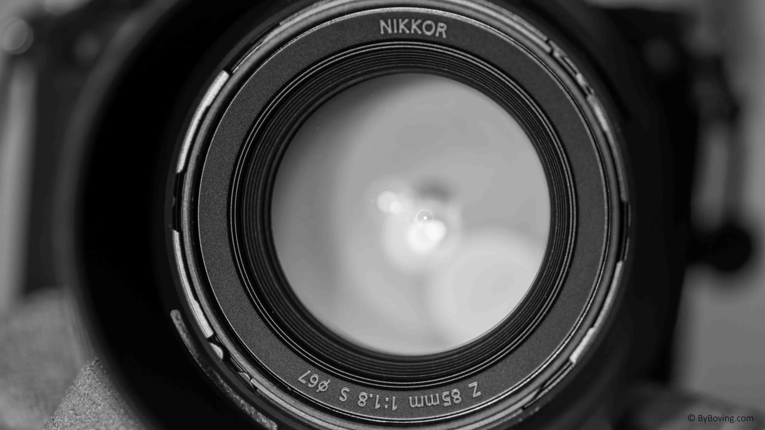 Nikon Z 85mm f/1.8 S Review: Sharp Portrait Optic Verdict
