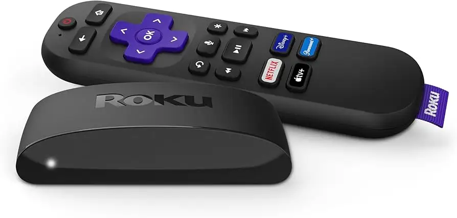 Roku Express 4K+ HDMI cable and accessories