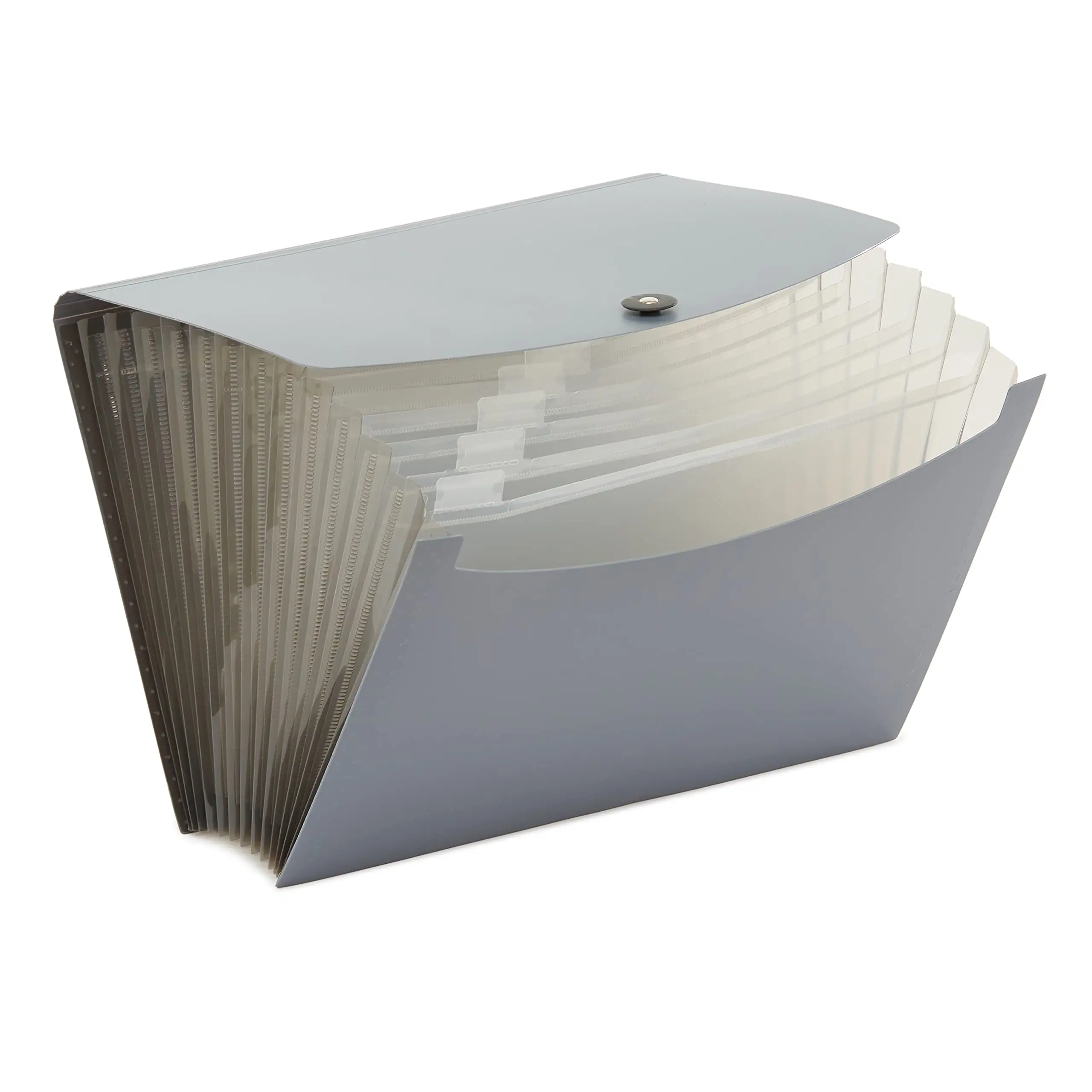 Amazon Basics Expanding Organizer File Folder black