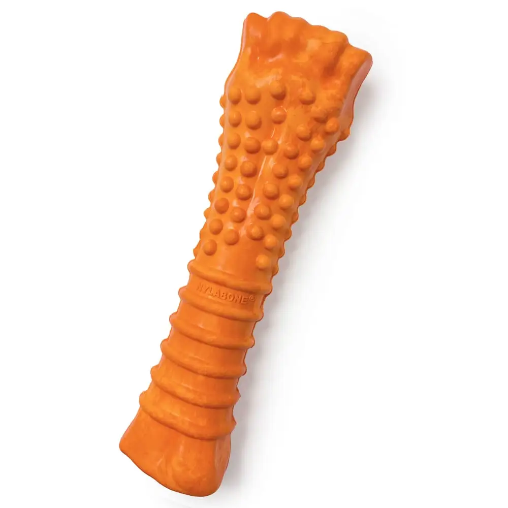 Nylabone Knuckle Bone large dog chewing example
