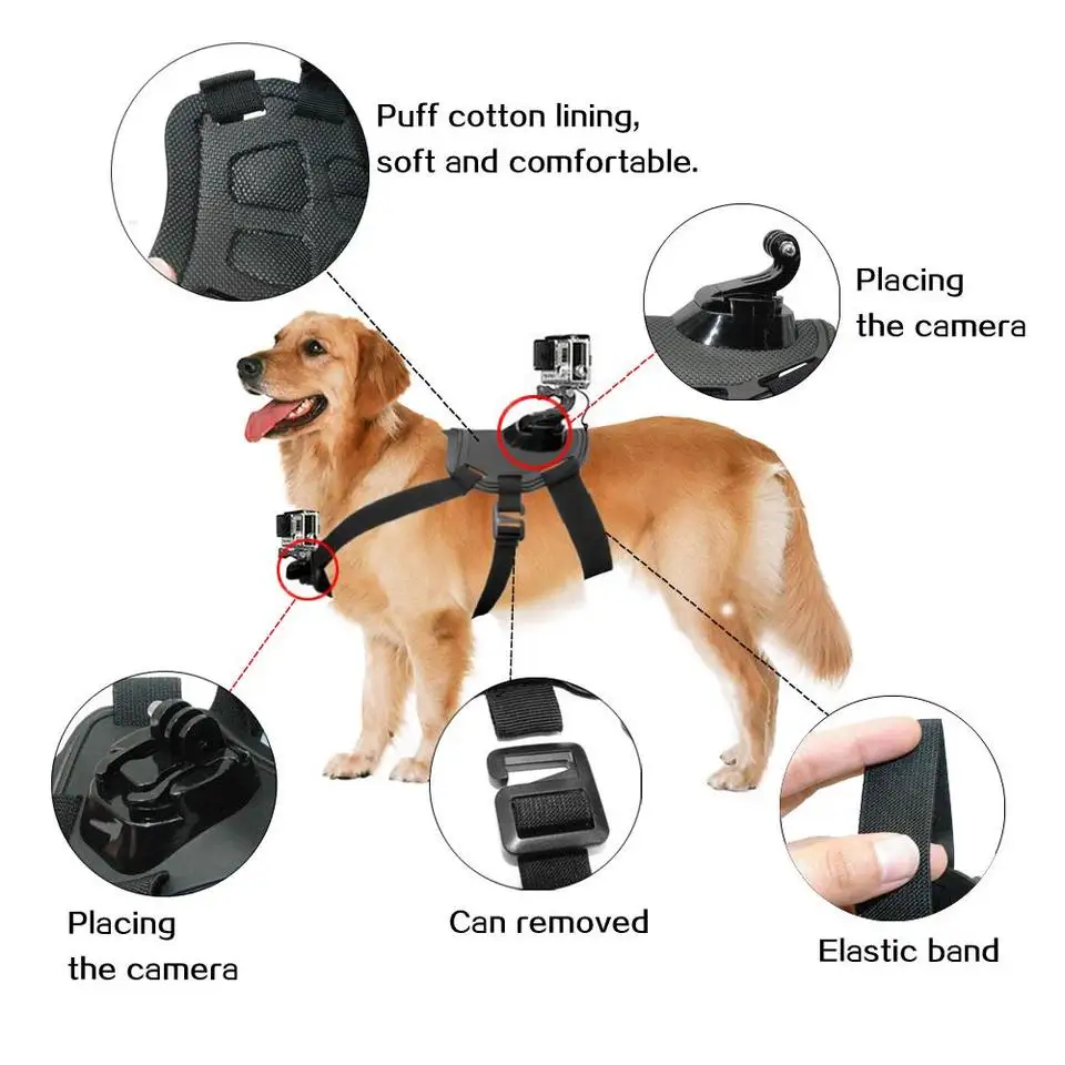 GoPro Fetch Dog Harness Review: Solid but Slips