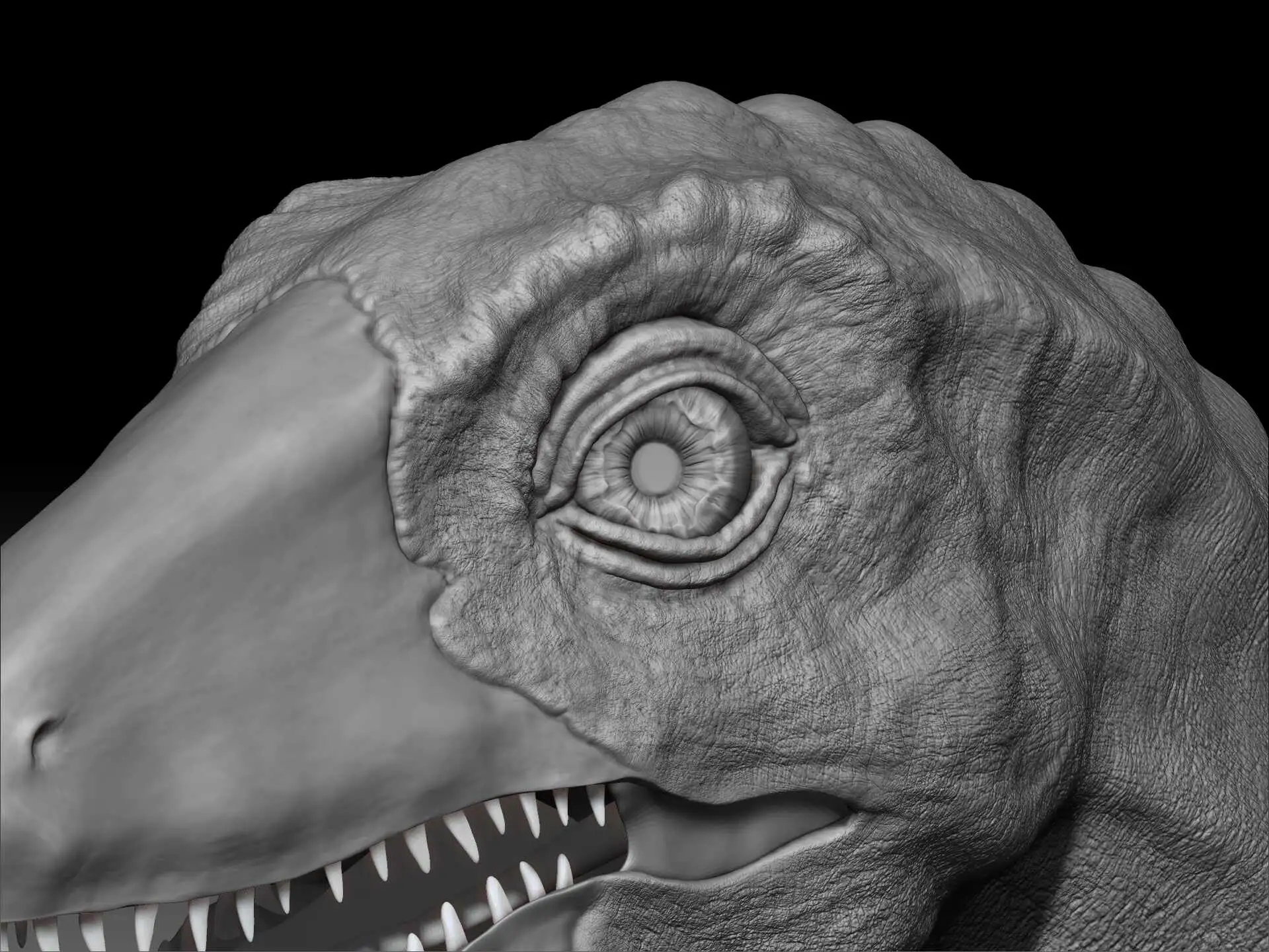 TRX Training 6 Month On-Demand Membership Review: 6.7/10