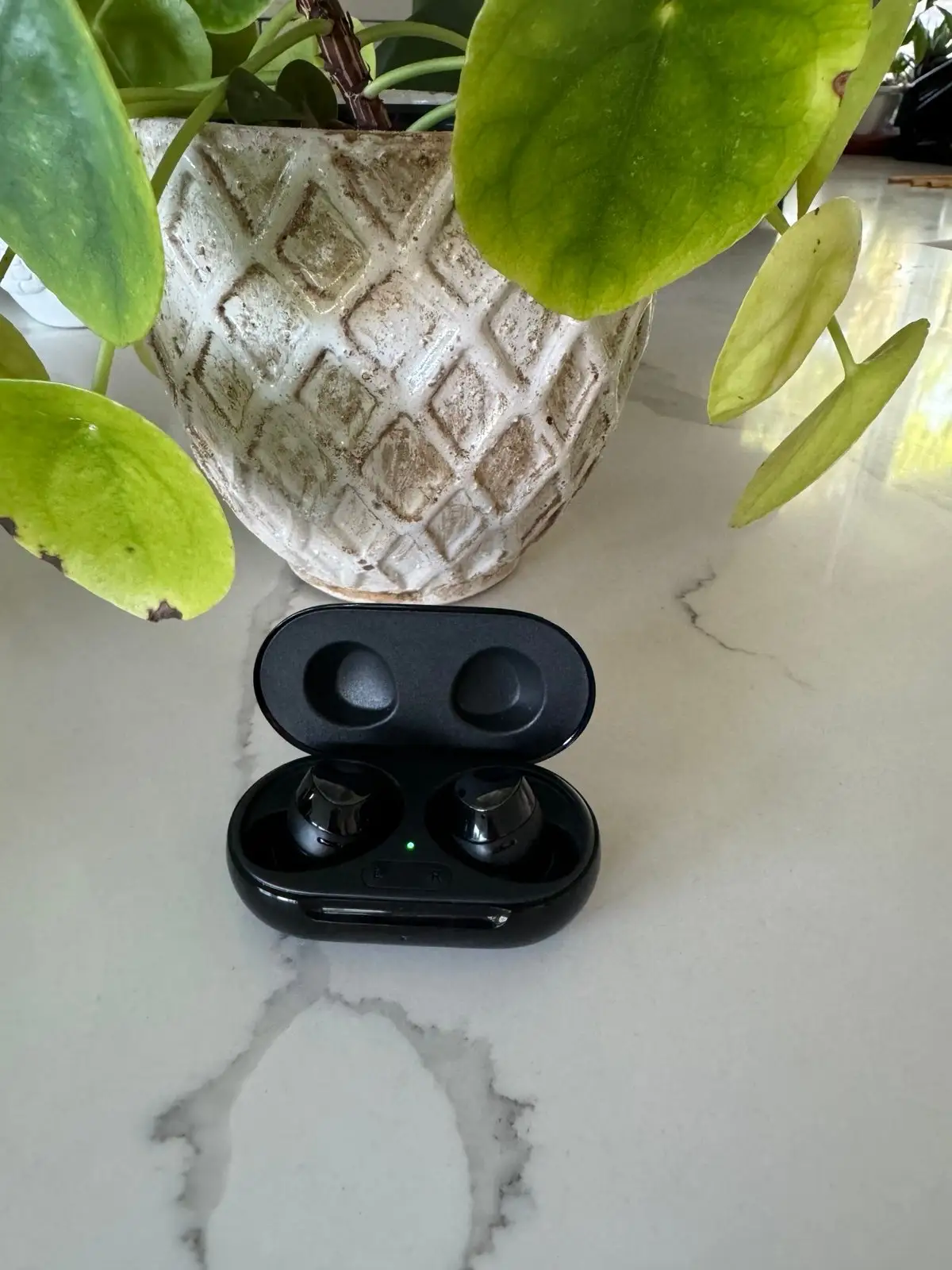 Shure SE215 PRO clear earbuds close-up view