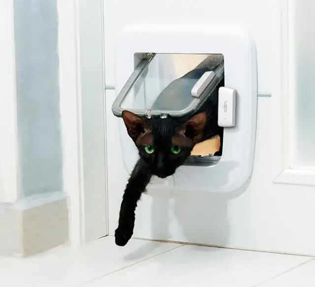 TP-Link Tapo T110 Review: Conditional Buy, No User Proof