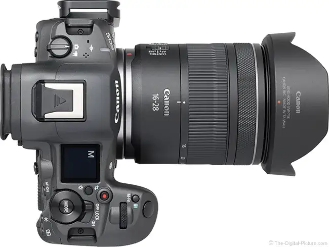 Canon RF16-28mm lens close focus example