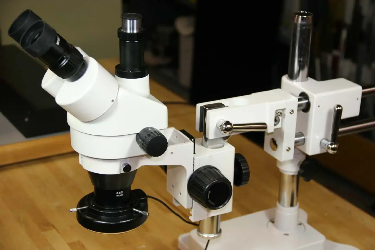 AmScope SM-4TZ-144A Microscope Review & Buyer Verdict