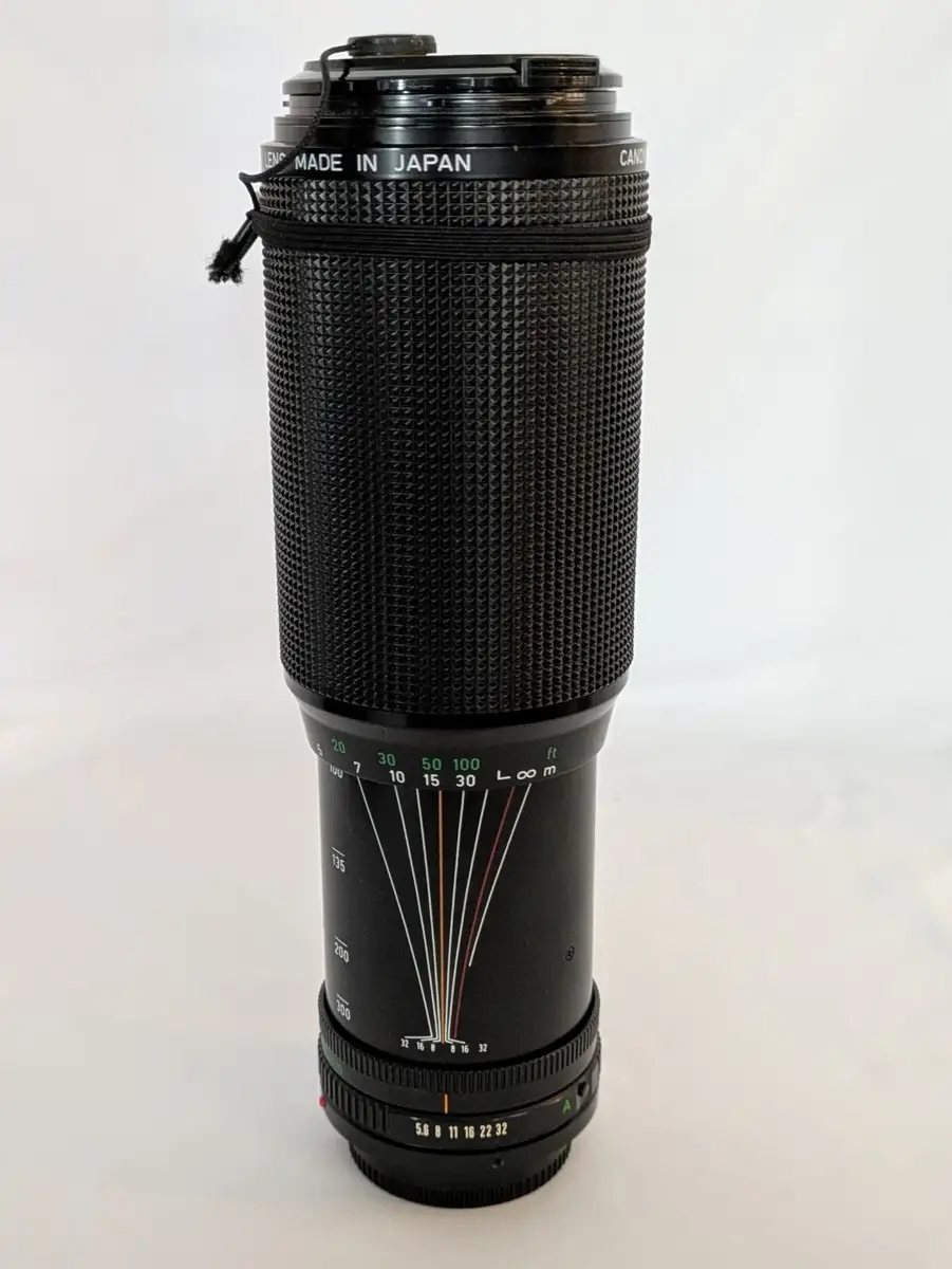 Canon EF 75-300mm III Review: Budget Lens Verdict