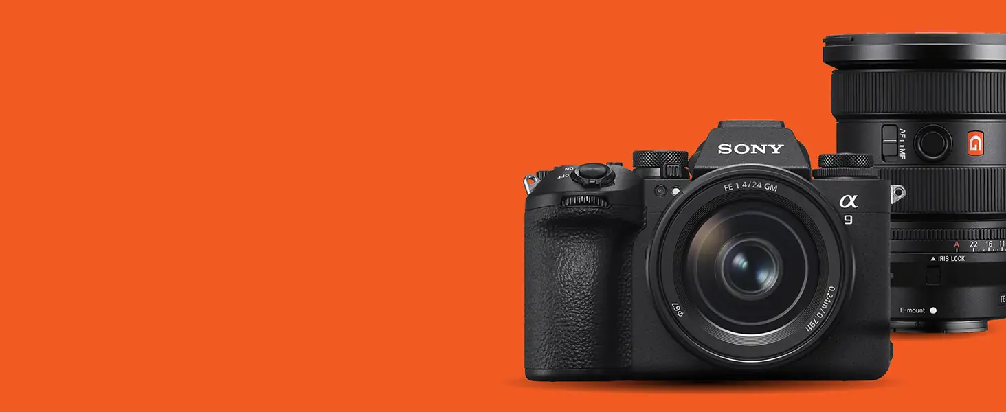 Sony FE 2.0x Teleconverter Review: Strong Daylight Reach