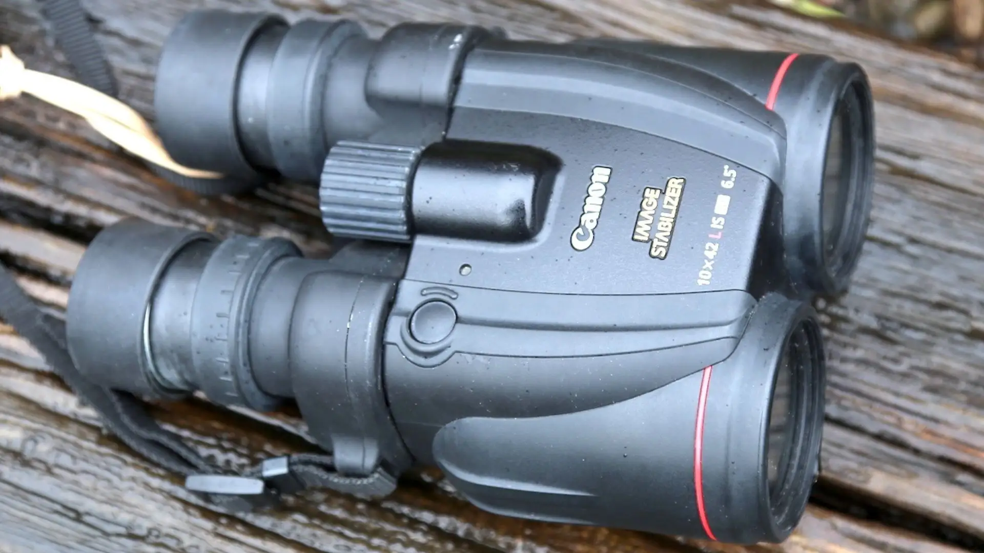 Canon 10x42 L IS WP binoculars product shot with accessories