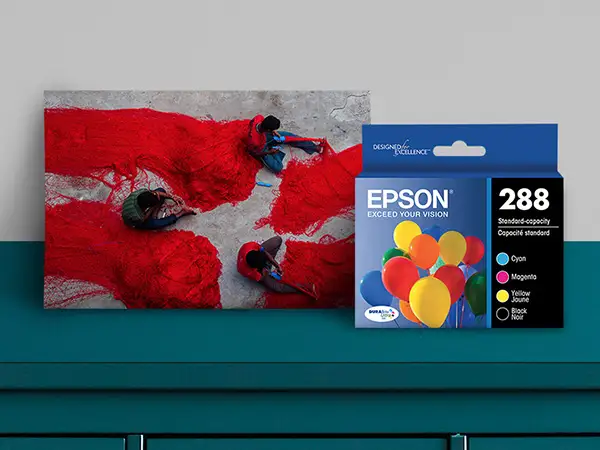 Epson DURABrite Ultra T288120-D2 Review: 8.7/10 Verdict