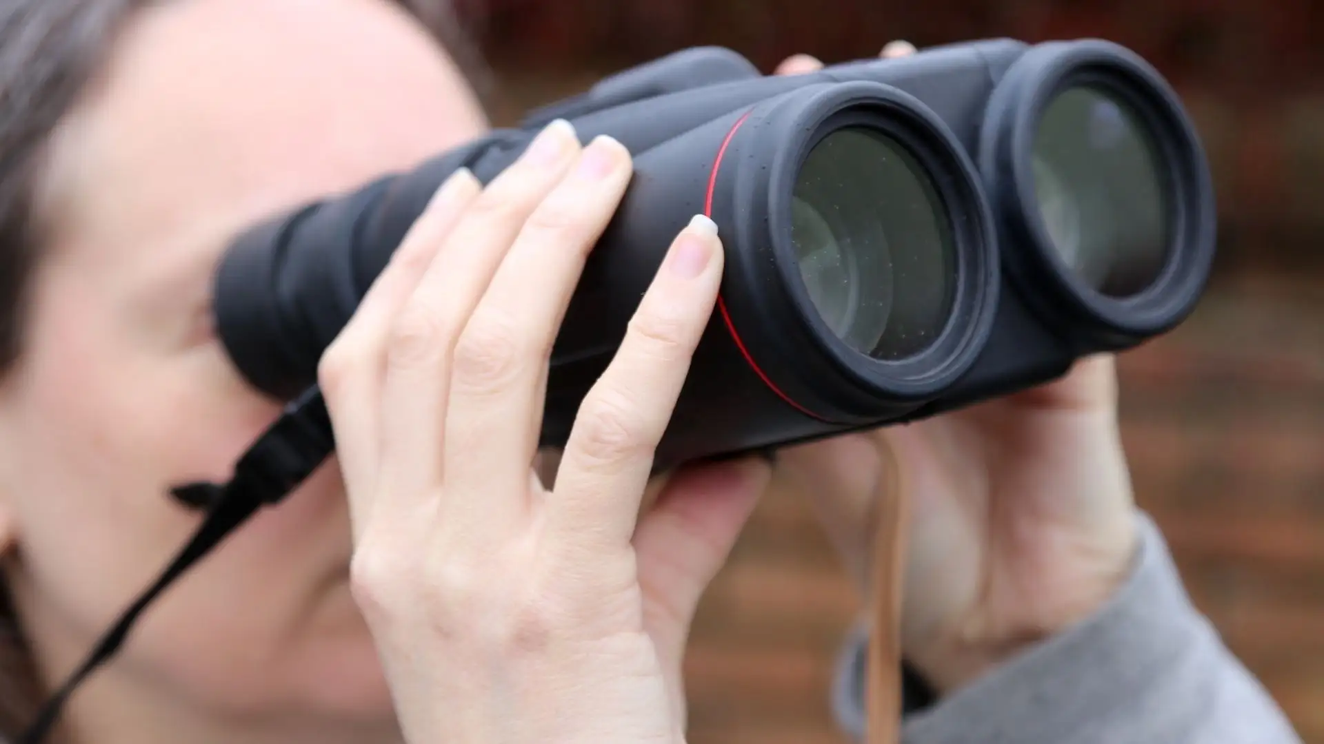 Canon 10x42 L IS WP binoculars compared to alternatives
