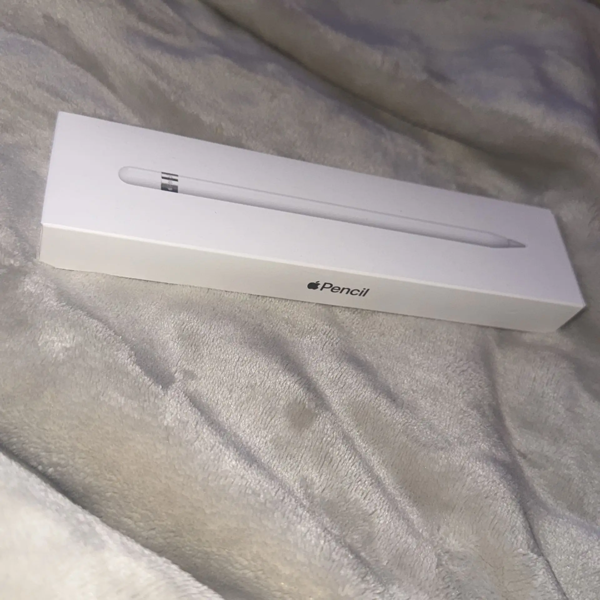 Apple Pencil 1st Gen Review: Loyal Tool with Flaws