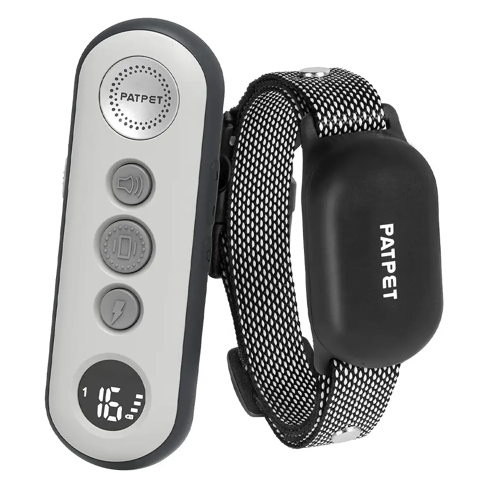 Garmin BarkLimiter Deluxe on medium-coated dog