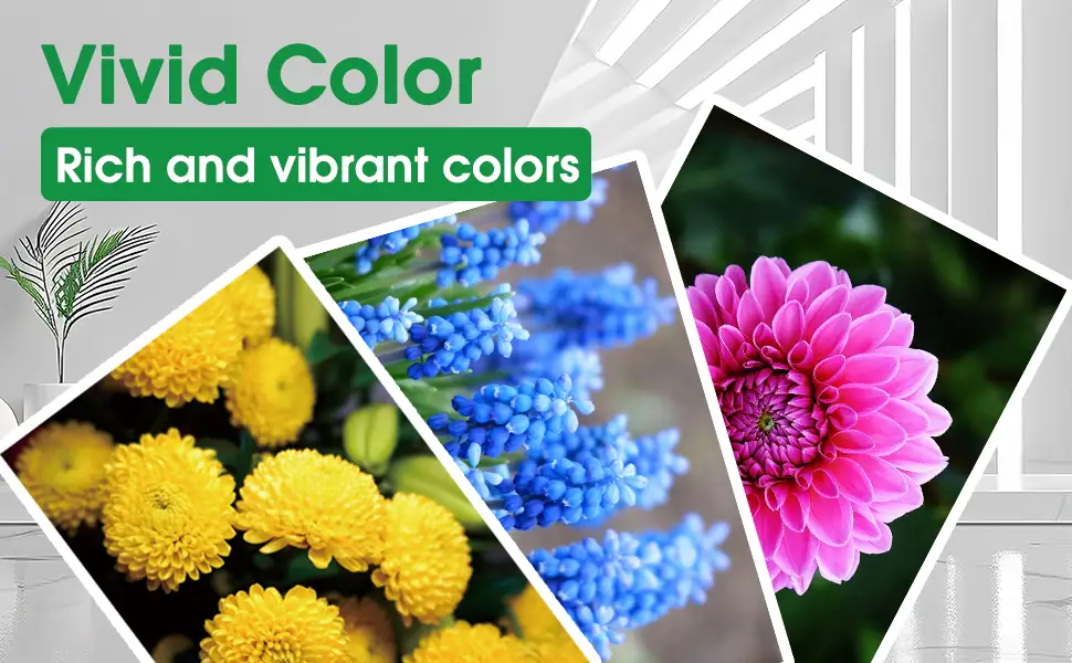 Canon PG-285 Black Ink Cartridge Review: Worth It?