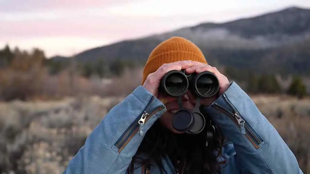 Vortex Viper HD 8x42 Review: Strong Value, Caveats