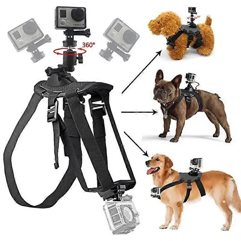 GoPro Fetch Dog Harness on active Labrador outdoors
