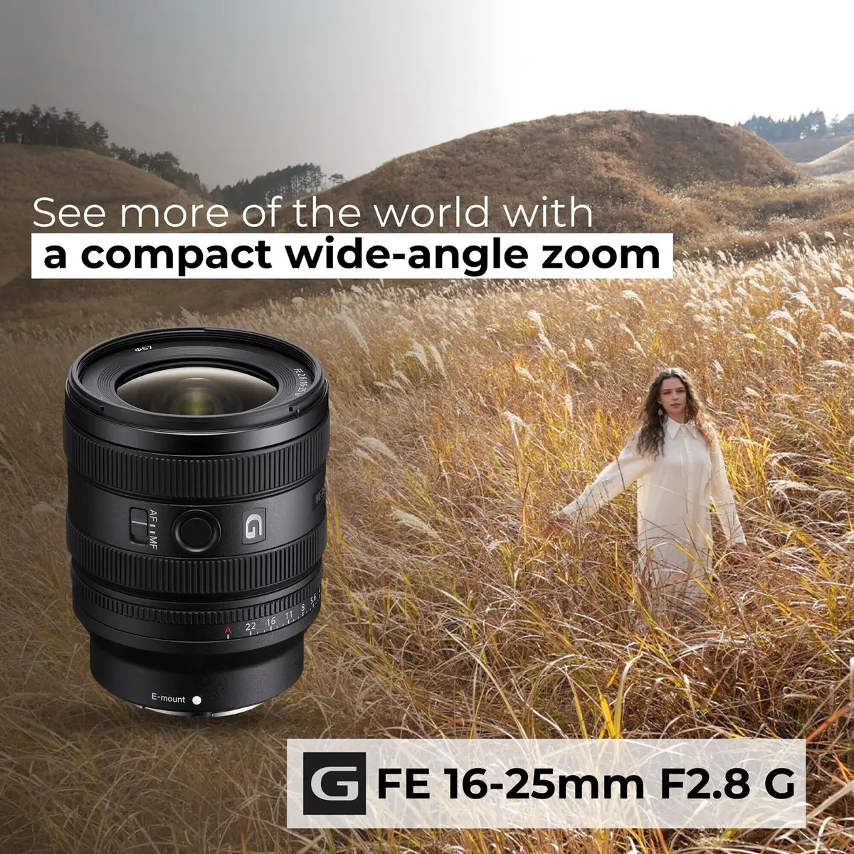 Sony FE 16-25mm F2.8 G Review: Balanced but Limited