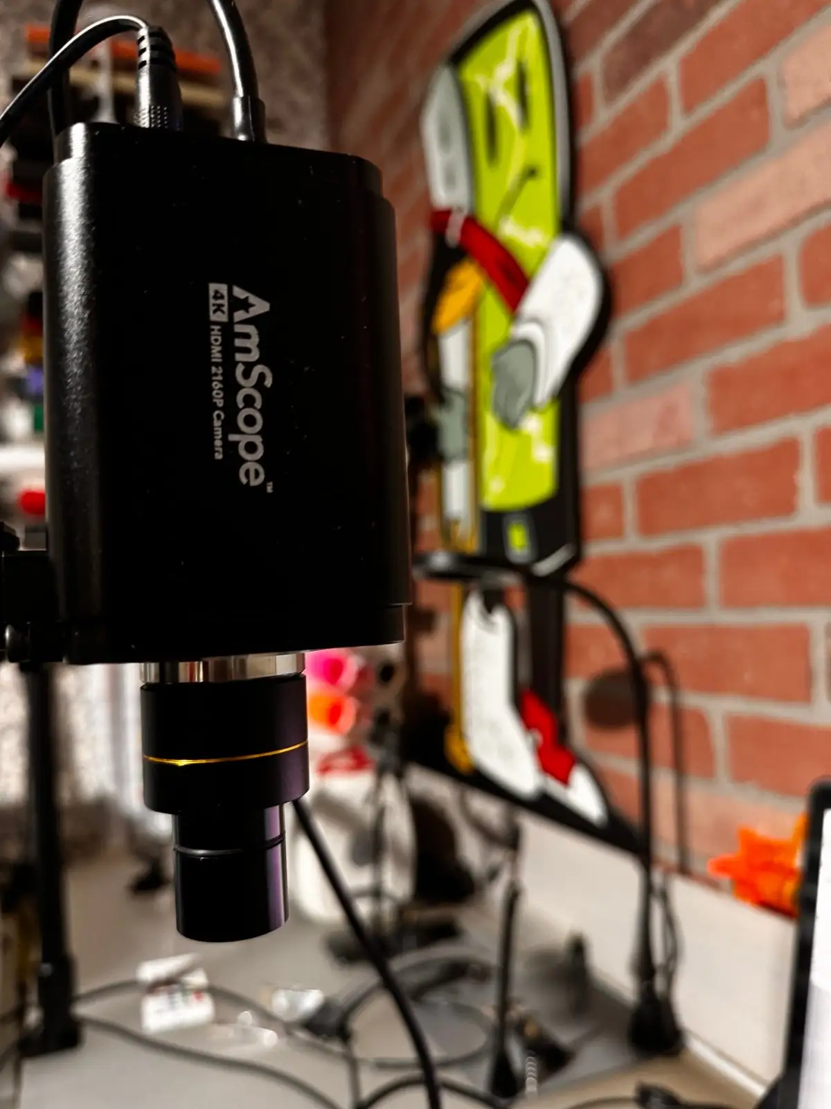 AmScope 4K Microscope Camera Review: Sharp but Demanding