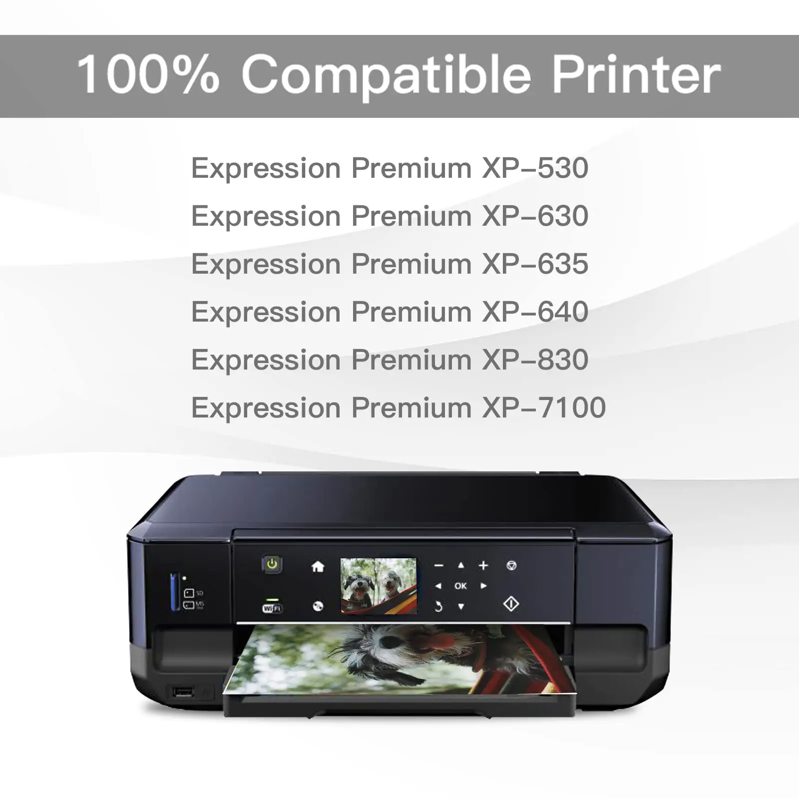 EPSON 410 T410020-S cost and confusion notes