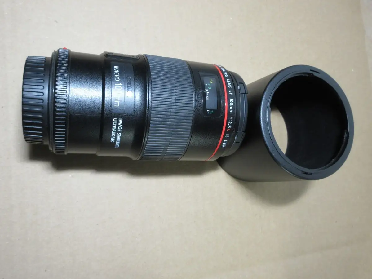 Canon EF 100mm Macro Lens Review: Sharpness vs Noise