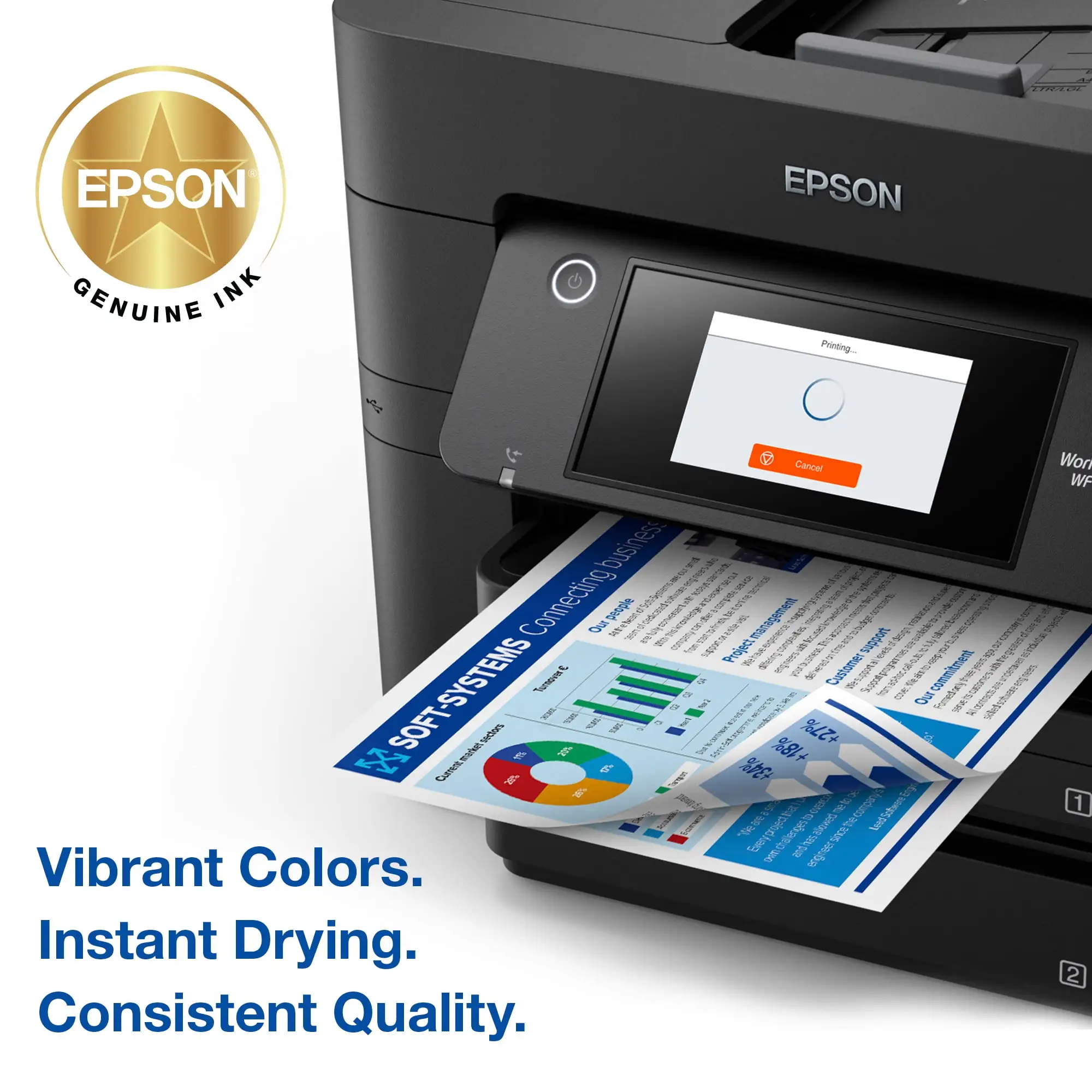 EPSON DURABrite Ultra Ink T288120-D2 Review: Conditional Buy