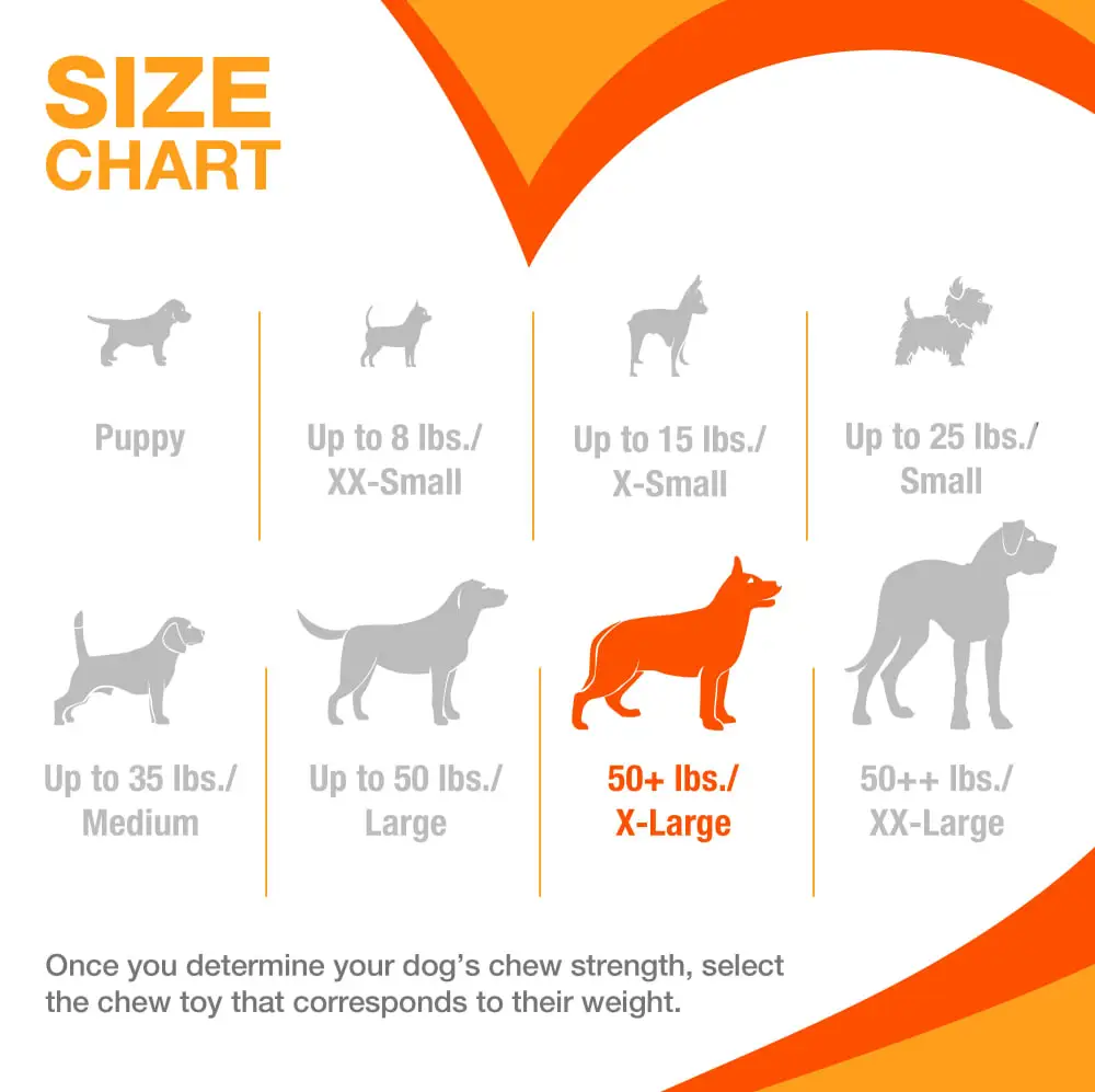 Nylabone Knuckle Bone product durability photo