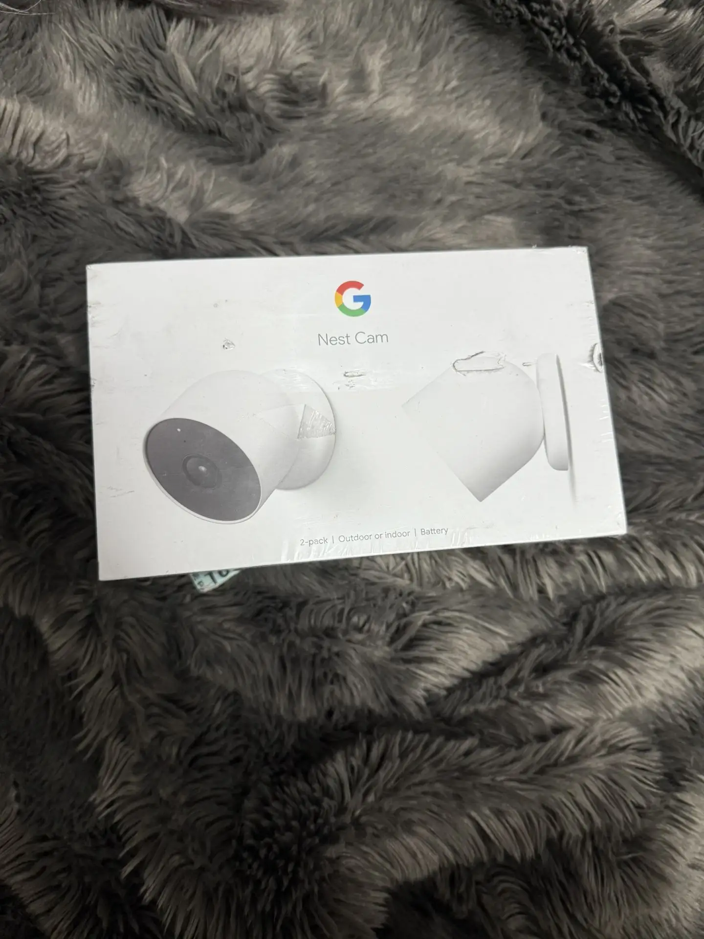 Google Nest Cam Battery Review: Mild Climate Verdict