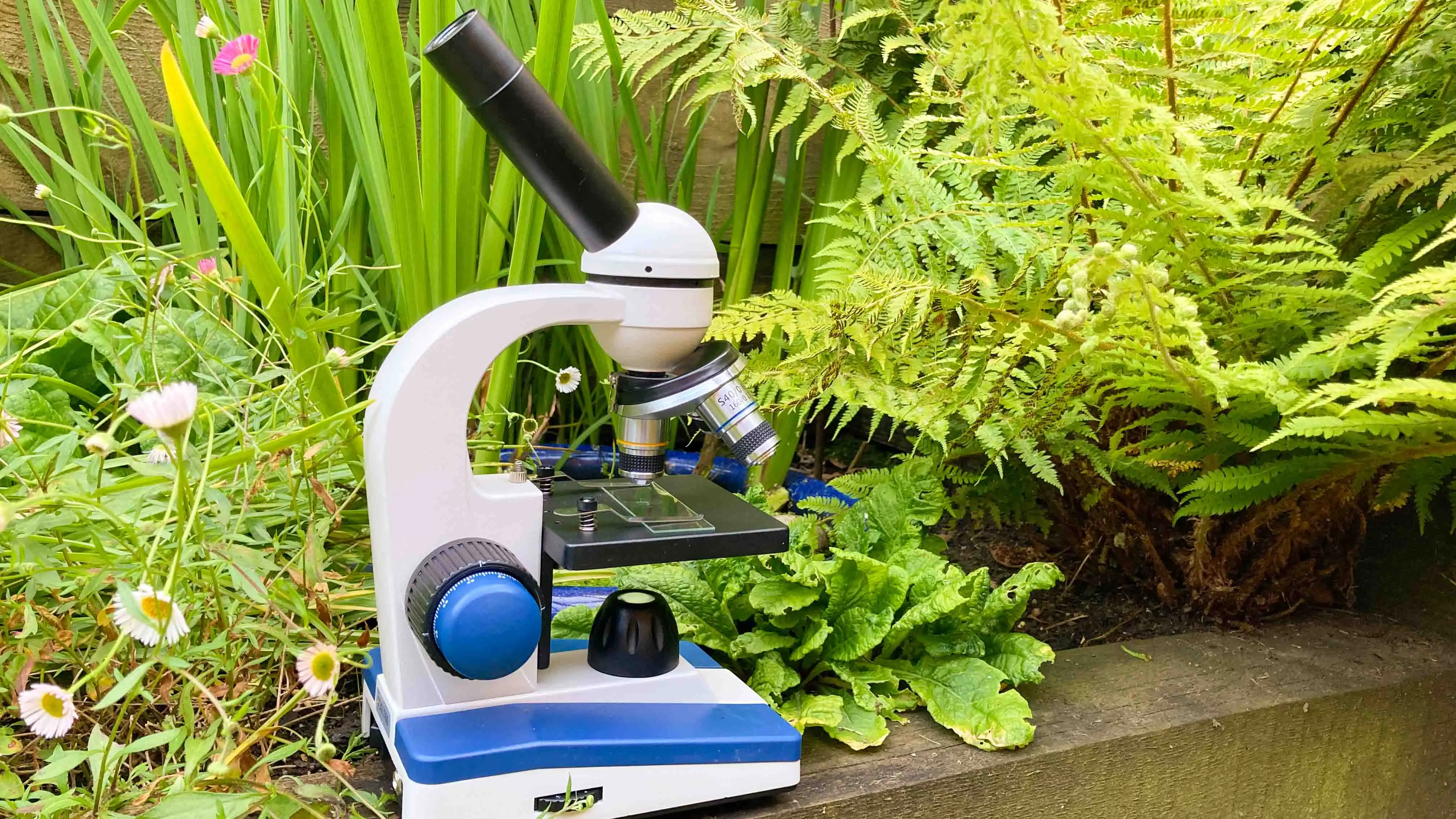 AmScope M150 microscope pricing and value comparison