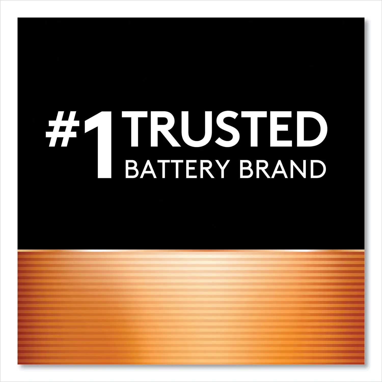 Duracell Coppertop AA Batteries bulk pack close-up