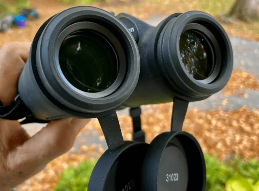 Nikon PROSTAFF P7 10x42 Review: Strong Optics Verdict
